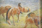 Franz Marc Graing Horses i (mk34) oil painting picture wholesale